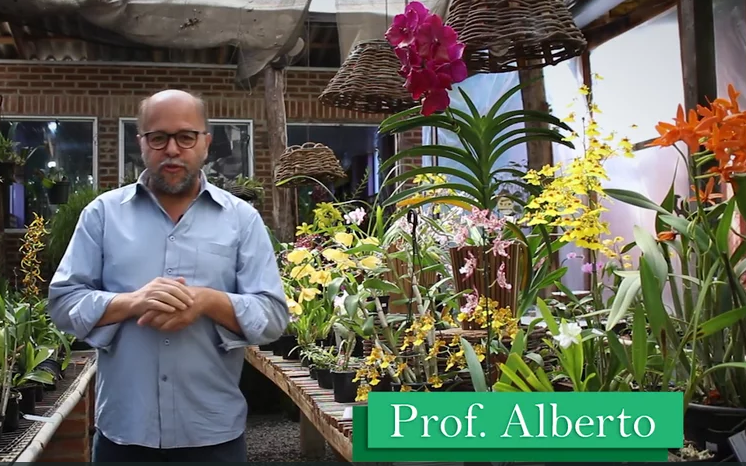  Professor Alberto